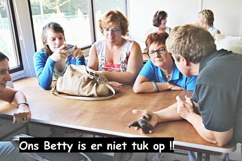 Madammenrit (122).JPG